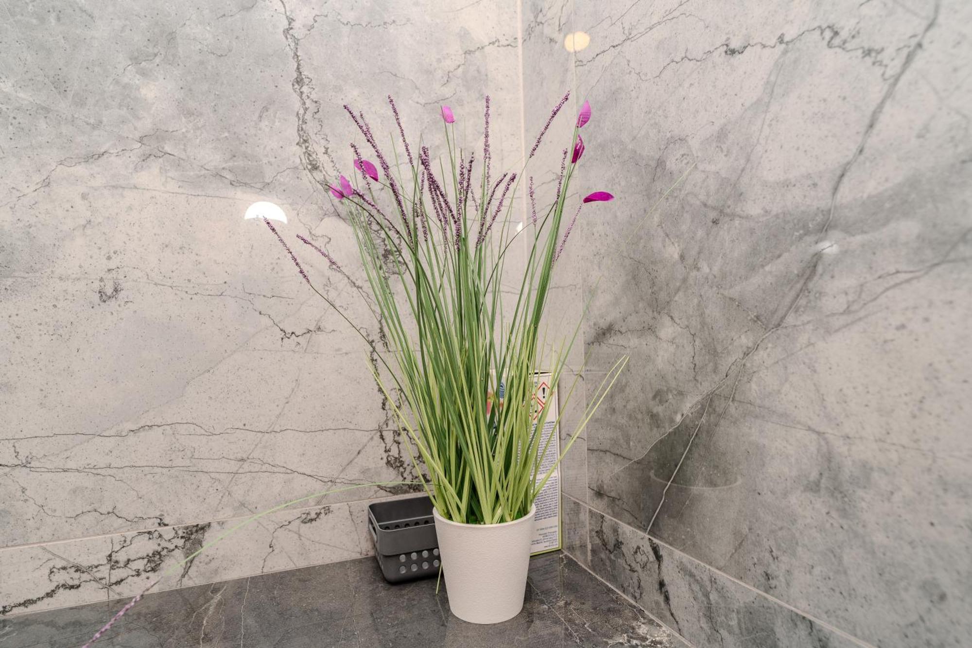 Dali II Apartment Novalja Ngoại thất bức ảnh